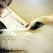 ヒメ日記 2025/12/01 00:09 投稿 ことの ぽっちゃりデリヘル倶楽部