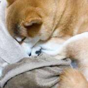 ヒメ日記 2025/12/03 18:45 投稿 ことの ぽっちゃりデリヘル倶楽部