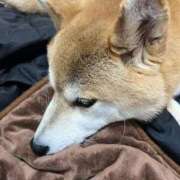 ことの さむいので ぽっちゃりデリヘル倶楽部