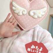 ヒメ日記 2025/12/08 04:19 投稿 ことの ぽっちゃりデリヘル倶楽部