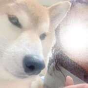 ヒメ日記 2025/12/09 22:19 投稿 ことの ぽっちゃりデリヘル倶楽部