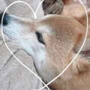 ヒメ日記 2025/12/14 20:29 投稿 ことの ぽっちゃりデリヘル倶楽部