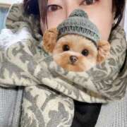 ヒメ日記 2025/12/15 21:19 投稿 ことの ぽっちゃりデリヘル倶楽部