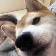 ヒメ日記 2025/12/27 20:29 投稿 ことの ぽっちゃりデリヘル倶楽部