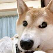 ヒメ日記 2026/01/24 13:19 投稿 ことの ぽっちゃりデリヘル倶楽部