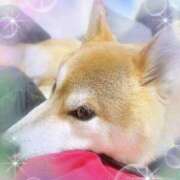 ヒメ日記 2026/02/13 11:29 投稿 ことの ぽっちゃりデリヘル倶楽部