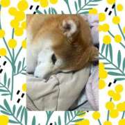 ヒメ日記 2026/03/11 11:09 投稿 ことの ぽっちゃりデリヘル倶楽部