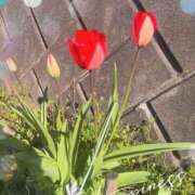 ヒメ日記 2026/04/05 22:49 投稿 ことの ぽっちゃりデリヘル倶楽部