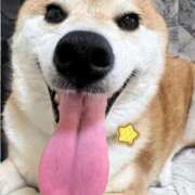 ヒメ日記 2026/04/06 18:09 投稿 ことの ぽっちゃりデリヘル倶楽部