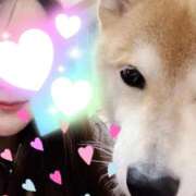 ヒメ日記 2026/04/10 20:09 投稿 ことの ぽっちゃりデリヘル倶楽部