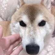 ヒメ日記 2026/05/17 17:19 投稿 ことの ぽっちゃりデリヘル倶楽部