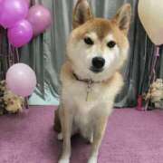 ヒメ日記 2026/05/28 20:19 投稿 ことの ぽっちゃりデリヘル倶楽部