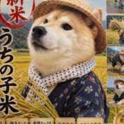 ことの 結局どうすれば…？ ぽっちゃりデリヘル倶楽部