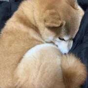ヒメ日記 2026/06/21 09:59 投稿 ことの ぽっちゃりデリヘル倶楽部