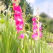 ヒメ日記 2026/06/22 15:09 投稿 ことの ぽっちゃりデリヘル倶楽部