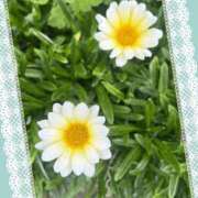 ことの 今朝の ぽっちゃりデリヘル倶楽部