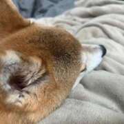 ヒメ日記 2026/06/28 13:49 投稿 ことの ぽっちゃりデリヘル倶楽部