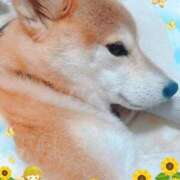 ヒメ日記 2026/07/14 15:19 投稿 ことの ぽっちゃりデリヘル倶楽部