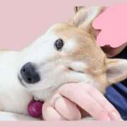 ことの 進捗状況 ぽっちゃりデリヘル倶楽部