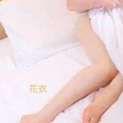 ヒメ日記 2026/01/29 12:08 投稿 花衣(はない) 熟女出逢い会『百合の園』目黒店