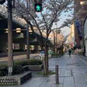 ヒメ日記 2026/04/04 12:45 投稿 たぴ ドM女学園大阪