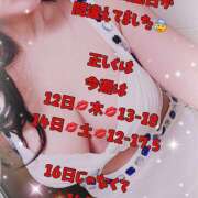 ヒメ日記 2026/02/11 15:18 投稿 ふじこ クレイジーホース