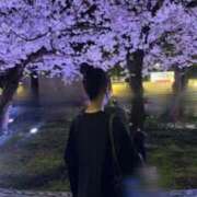 ヒメ日記 2026/03/24 14:38 投稿 このは Okini所沢