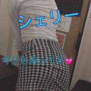 ヒメ日記 2025/09/18 06:03 投稿 シェリー OLの品格 クラブアッシュ
