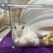 ヒメ日記 2025/09/27 00:49 投稿 浜辺かのん 皇帝別館（こうていべっかん）