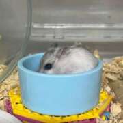 ヒメ日記 2025/09/29 02:56 投稿 浜辺かのん 皇帝別館（こうていべっかん）