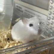 ヒメ日記 2025/10/01 05:36 投稿 浜辺かのん 皇帝別館（こうていべっかん）