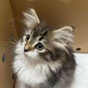 ヒメ日記 2025/10/05 22:36 投稿 浜辺かのん 皇帝別館（こうていべっかん）