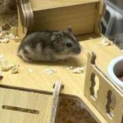 ヒメ日記 2025/10/19 23:56 投稿 浜辺かのん 皇帝別館（こうていべっかん）