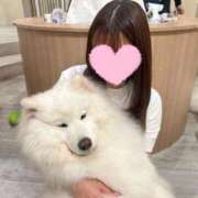 ヒメ日記 2025/10/22 05:06 投稿 浜辺かのん 皇帝別館（こうていべっかん）