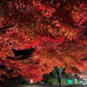 ヒメ日記 2025/11/01 15:18 投稿 浜辺かのん 皇帝別館（こうていべっかん）