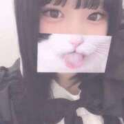 ヒメ日記 2025/11/12 20:53 投稿 かなの 川越ぷよステーション