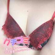 ヒメ日記 2025/09/20 16:44 投稿 かりん フィエスタ