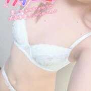 ヒメ日記 2025/09/22 11:34 投稿 かりん フィエスタ