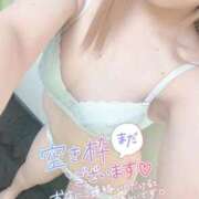 ヒメ日記 2026/01/13 08:44 投稿 かりん フィエスタ