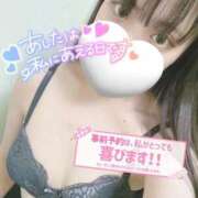 ヒメ日記 2026/01/31 12:09 投稿 かりん フィエスタ