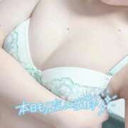 ヒメ日記 2026/03/08 09:05 投稿 かりん フィエスタ