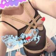 ヒメ日記 2026/04/28 08:44 投稿 かりん フィエスタ
