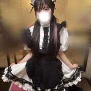 ヒメ日記 2025/11/15 10:23 投稿 うゆ フォーチュン