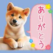 ヒメ日記 2025/09/30 19:35 投稿 まるこ 横浜おかあさん