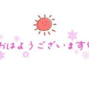 ヒメ日記 2025/11/19 08:45 投稿 まるこ 横浜おかあさん