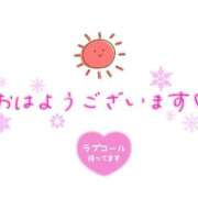 ヒメ日記 2025/12/08 08:55 投稿 まるこ 横浜おかあさん