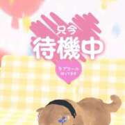 ヒメ日記 2026/02/04 12:05 投稿 まるこ 横浜おかあさん