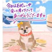 ヒメ日記 2026/03/09 16:55 投稿 まるこ 横浜おかあさん