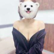 ヒメ日記 2026/01/24 08:53 投稿 ゆうか(昭和52年生まれ) 熟年カップル名古屋～生電話からの営み～