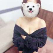 ヒメ日記 2026/04/01 13:52 投稿 ゆうか(昭和52年生まれ) 熟年カップル名古屋～生電話からの営み～